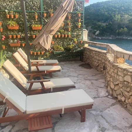 Holiday Home Jelena Zastrazisce Exterior photo